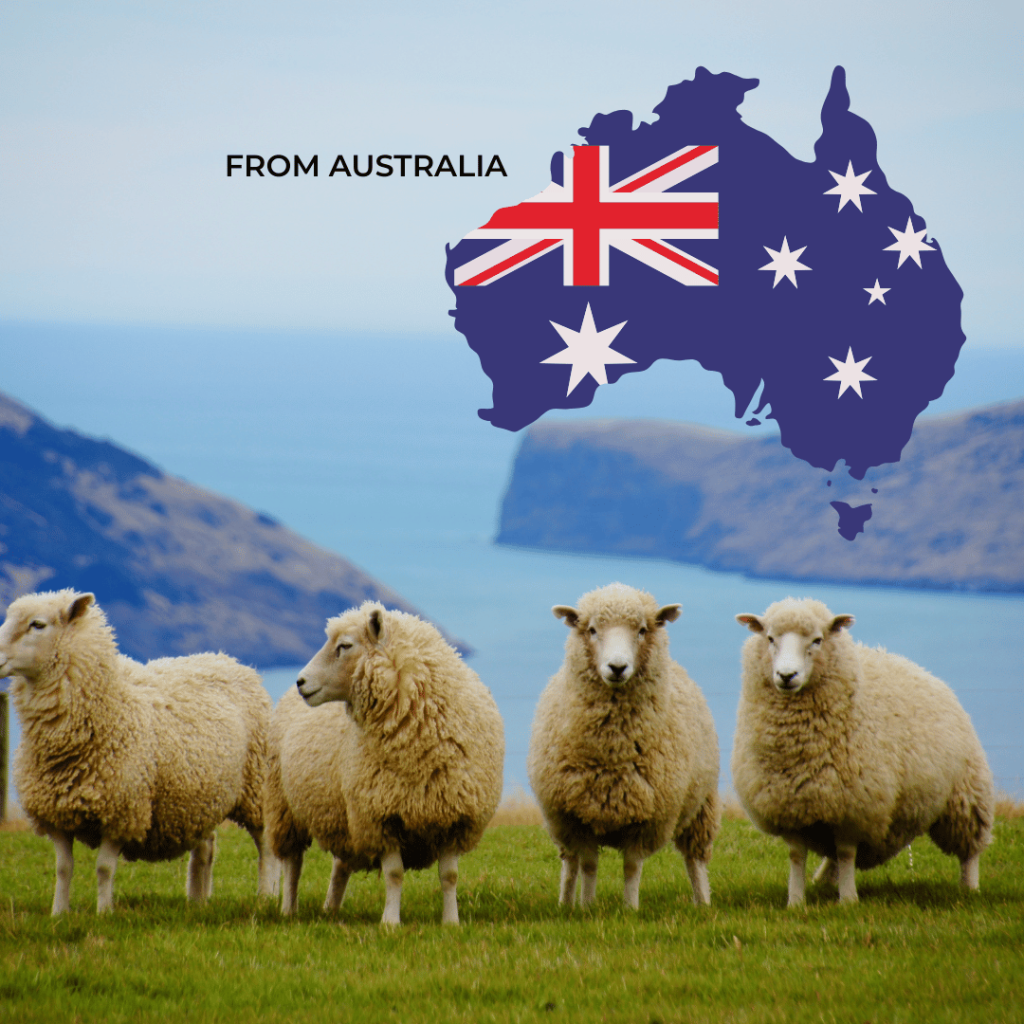 Qurban in Australia